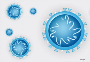 coronavirus_darstellung_bzga Corona-Informationen