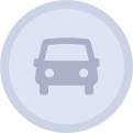 icon-auto